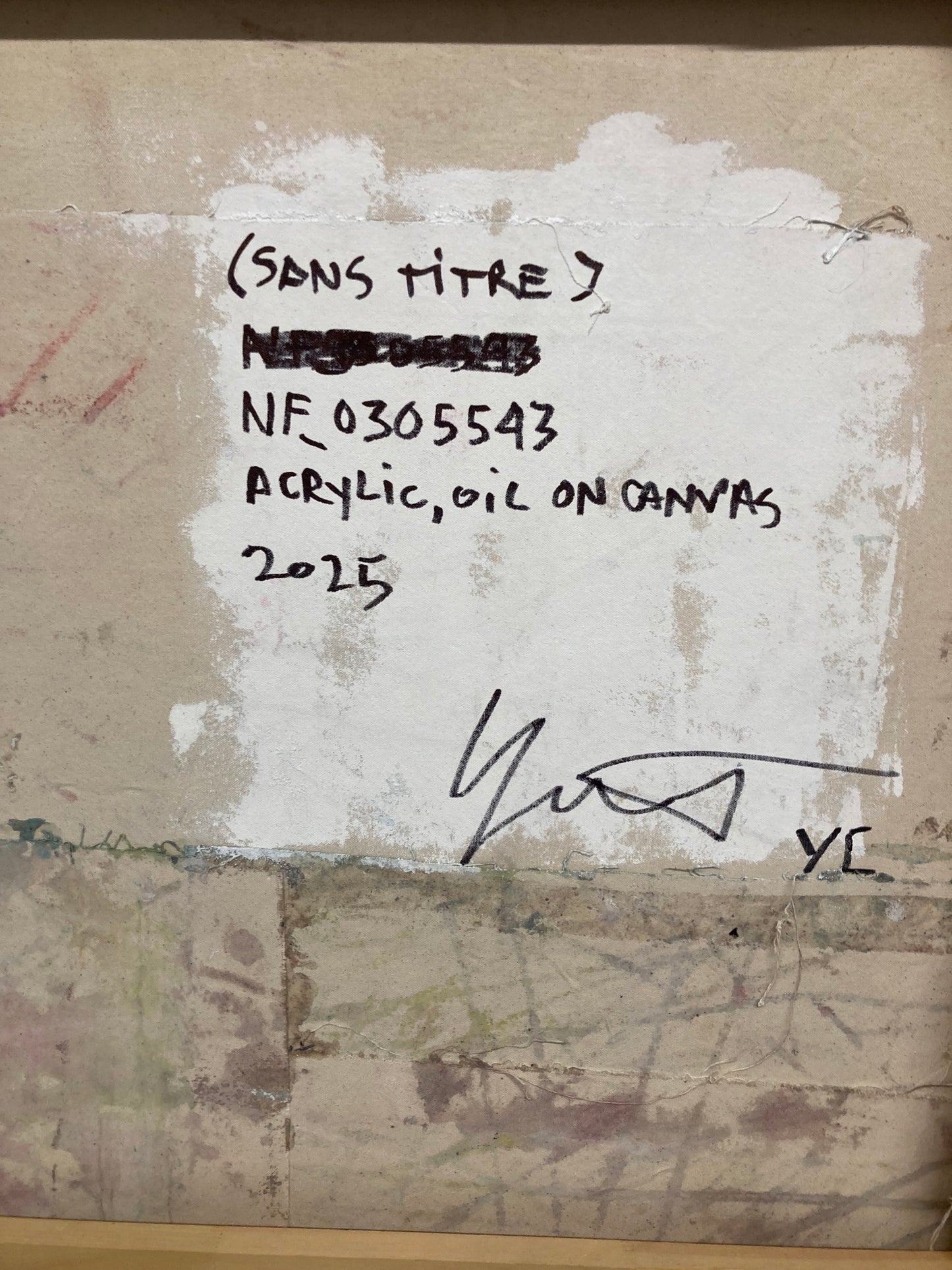 (Sans titre) 55 x 43, Oil on Canvas, 2025